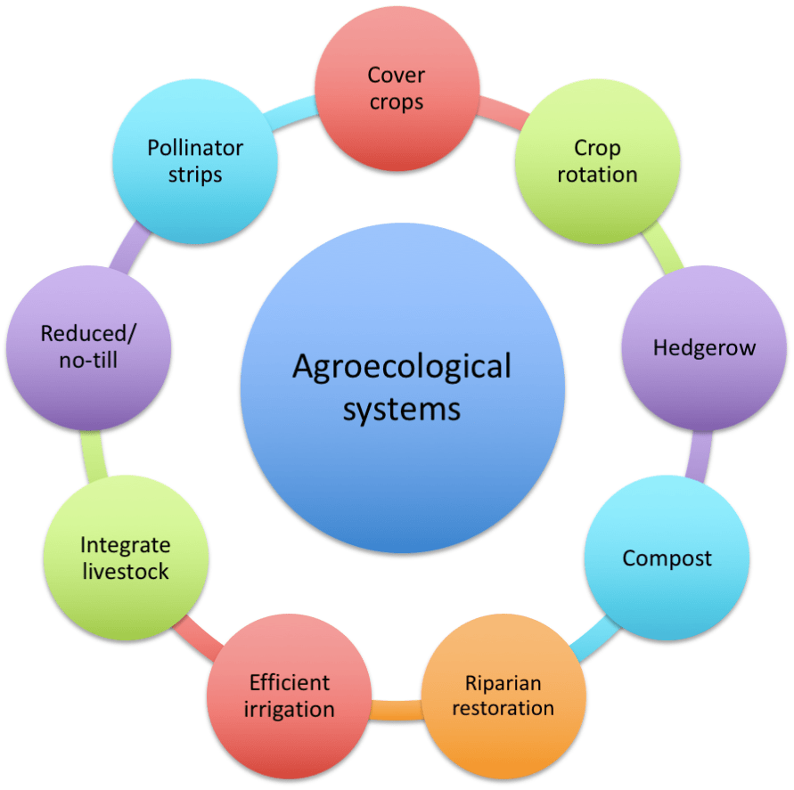 Agroecological Farming Systems Ecological Farming munity Alliance with Family Farmers