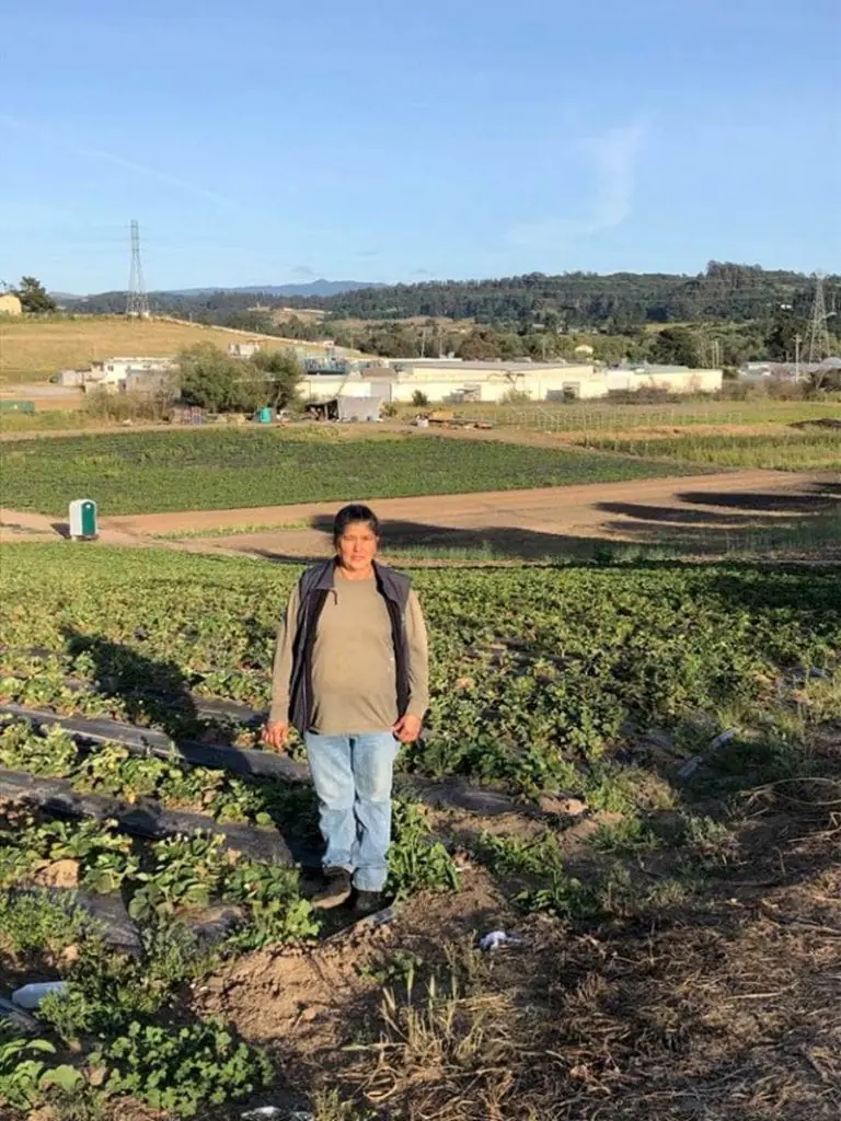 CA Family Farmer Emergency Fund Awardees