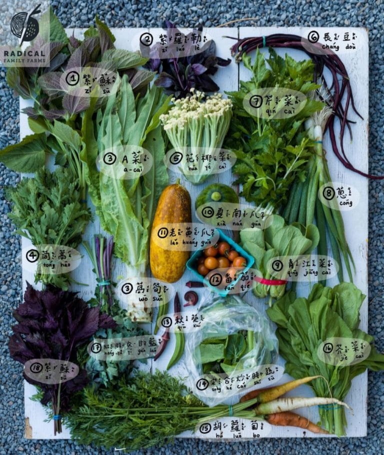 00C99C85 537A 4530 877D 086A5C85B074 768x909