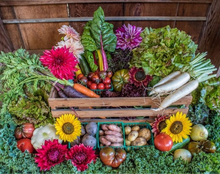 22280526 121024648585272 3992351150228635648 n 768x605