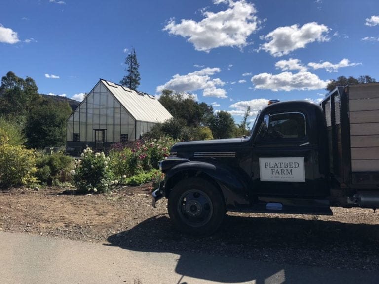 597B3F1E 2425 40FD A74C A1966D0DC9D5 768x576