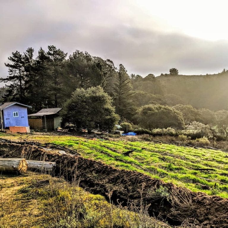 67549932 1162932523916543 8817448419942465536 o 2 768x768