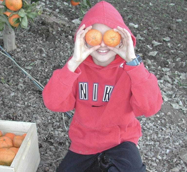 6A224321 EC78 432C B407 1E9D426A38EB 768x709