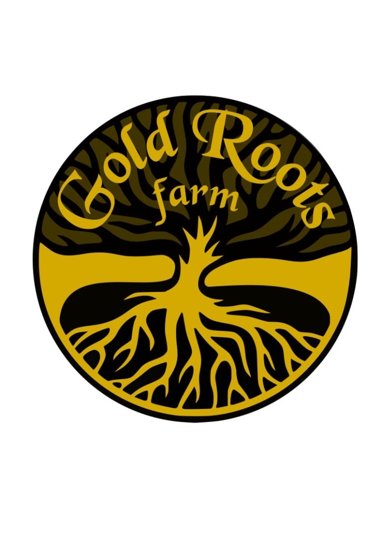 799B99A7 3A00 4E5F 8D12 7BE7584C46CA 768x1086