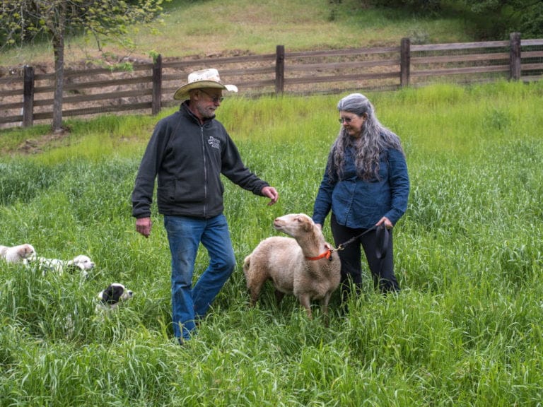 Archie and Co. 768x576