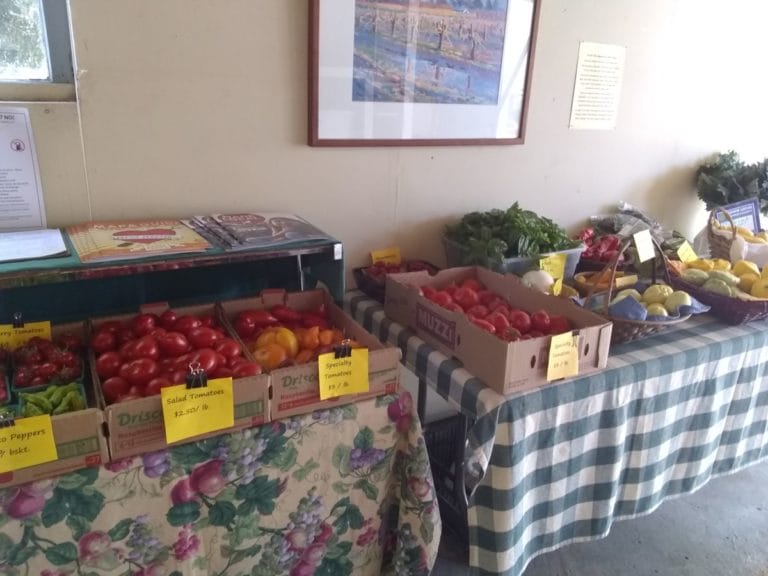Farm stand mid summer 2019 768x576