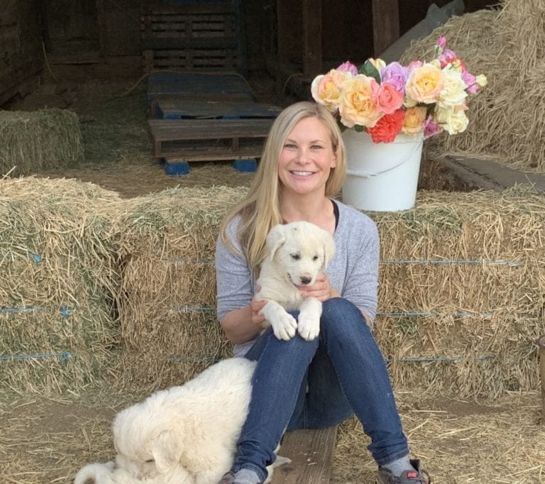 IMG 0461 copy 768x682