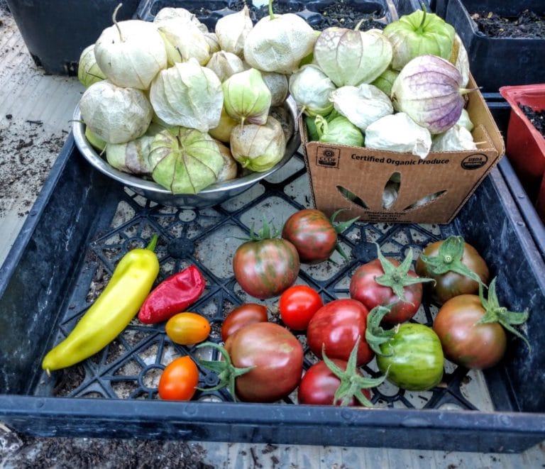 IMG 20181024 165535818 768x661