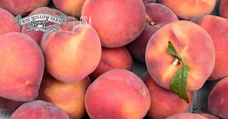 Peach w logo 768x402