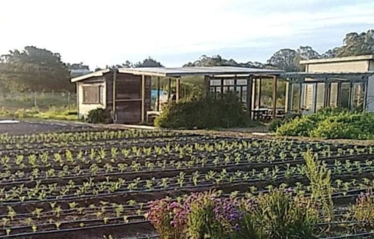 Screen Shot 2020 08 12 at 8.41.24 PM 768x491