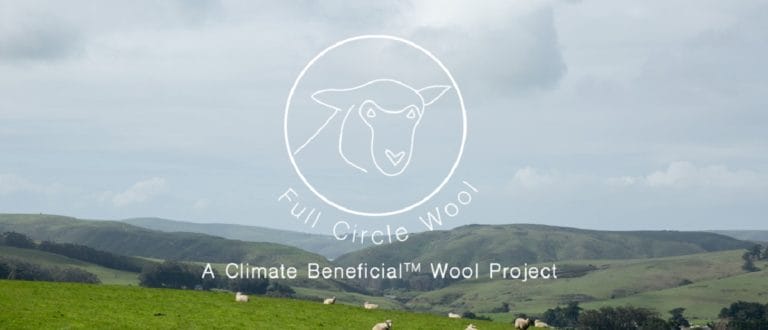 Web Banned CBW resized 1200 1 768x330