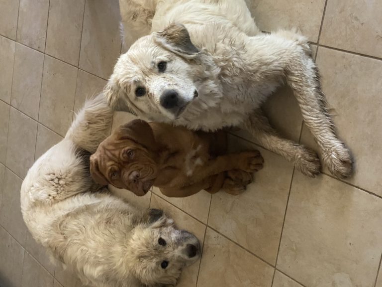 03834C30 7617 4FEF B9B2 7D910CF23638 768x576