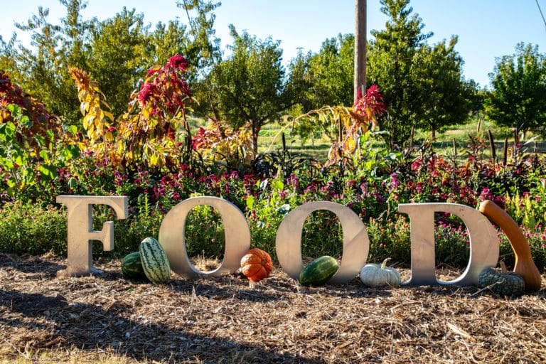 42960849570 a1ebc4d747 k 768x512