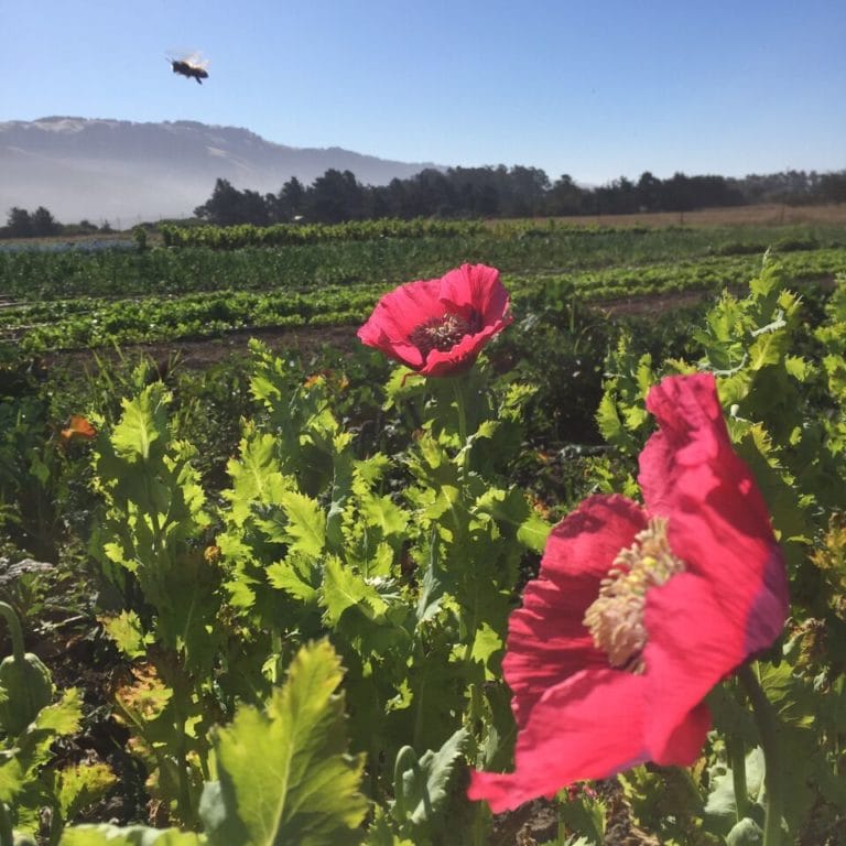 IMG 8328 preview 768x768