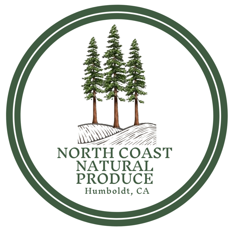 logolargesize 768x768