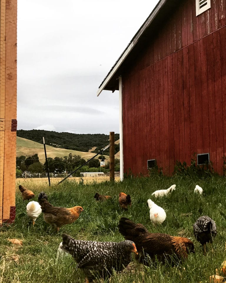 6F6C496B D651 4E0E BBF4 E15B5FF80D54 768x960