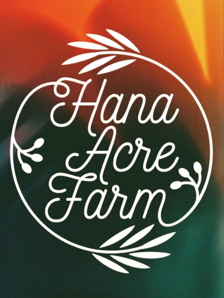 9787CF14 AA61 49BB BCF4 D69A61F73A01 768x1023