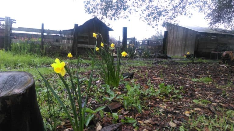 IMAG3761 small 768x430