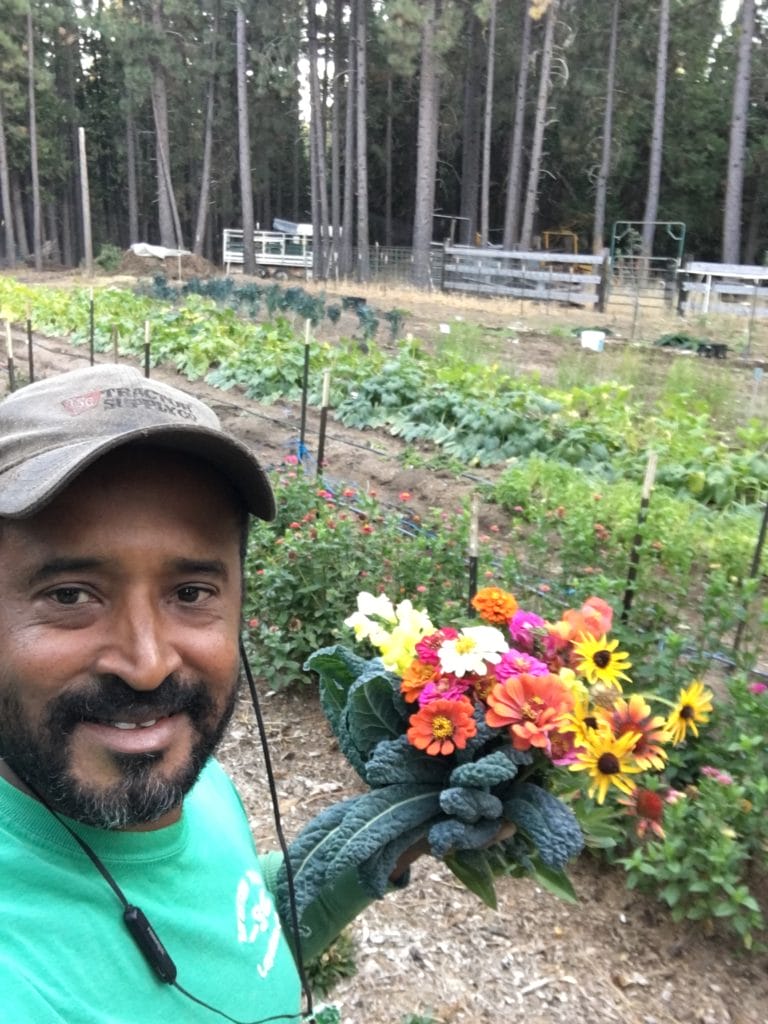 1BB4B754 8899 409A 9218 F0D17CC8558C 768x1024