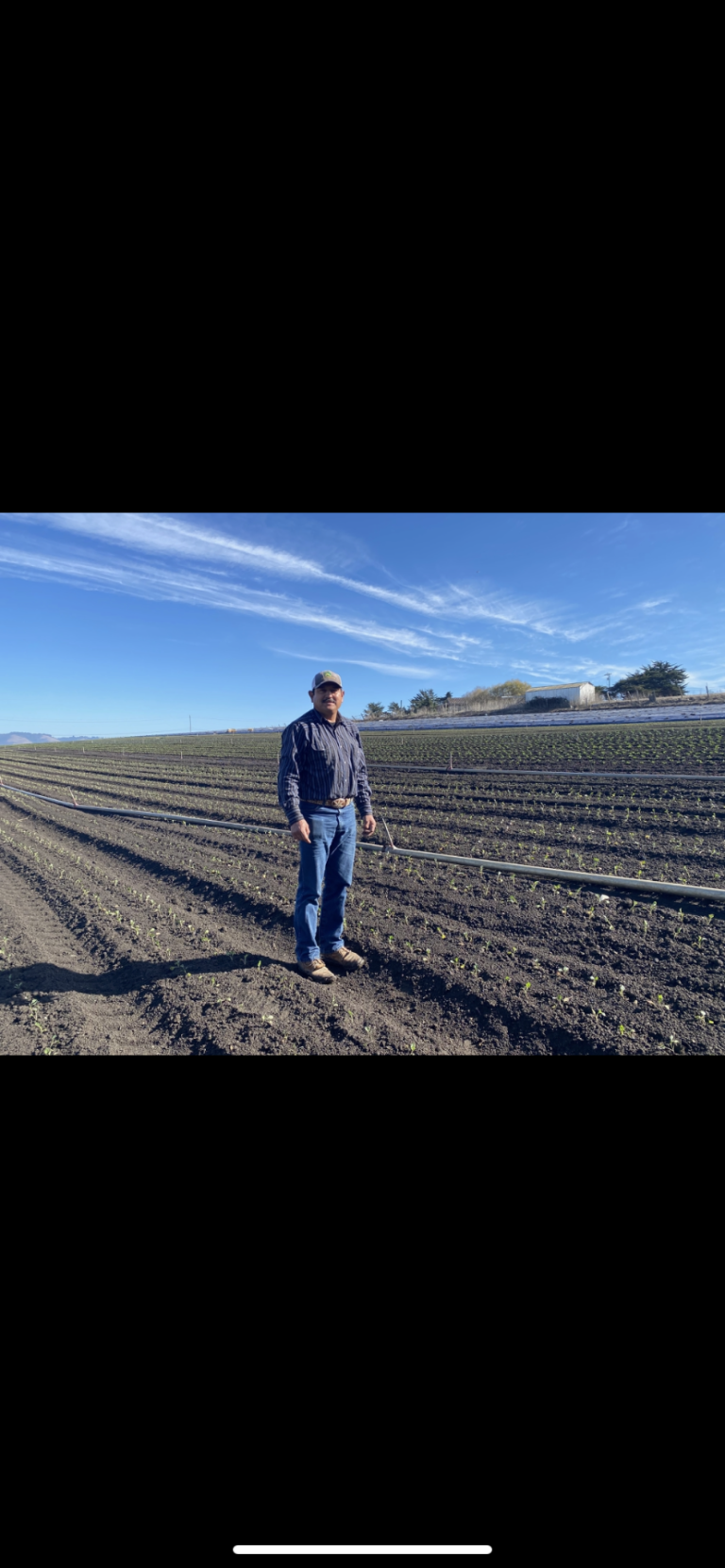 1CD9C6BD E5D8 4A2D 8899 6D5F99D0173D 768x1662