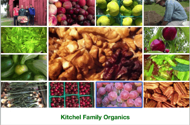 KFO Collage made 6 21 18