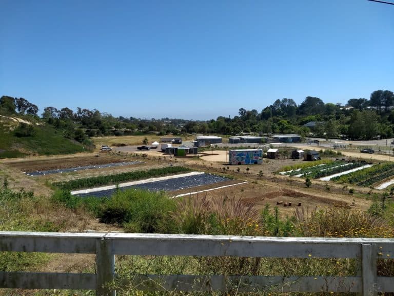 IMG 20200526 145936847 768x576