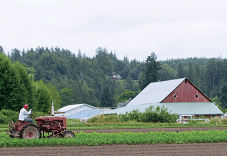 Screen Shot 2021 03 07 at 9.54.54 PM 768x528