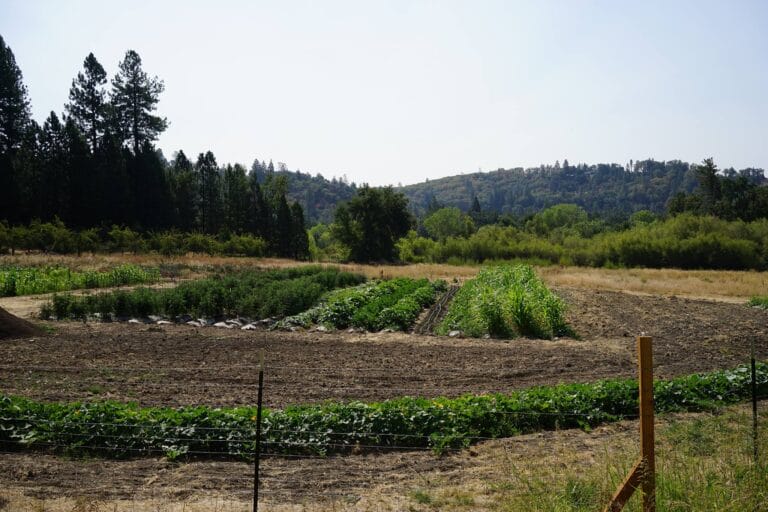 11896370 1166474690036801 5601630670834074954 o 768x512