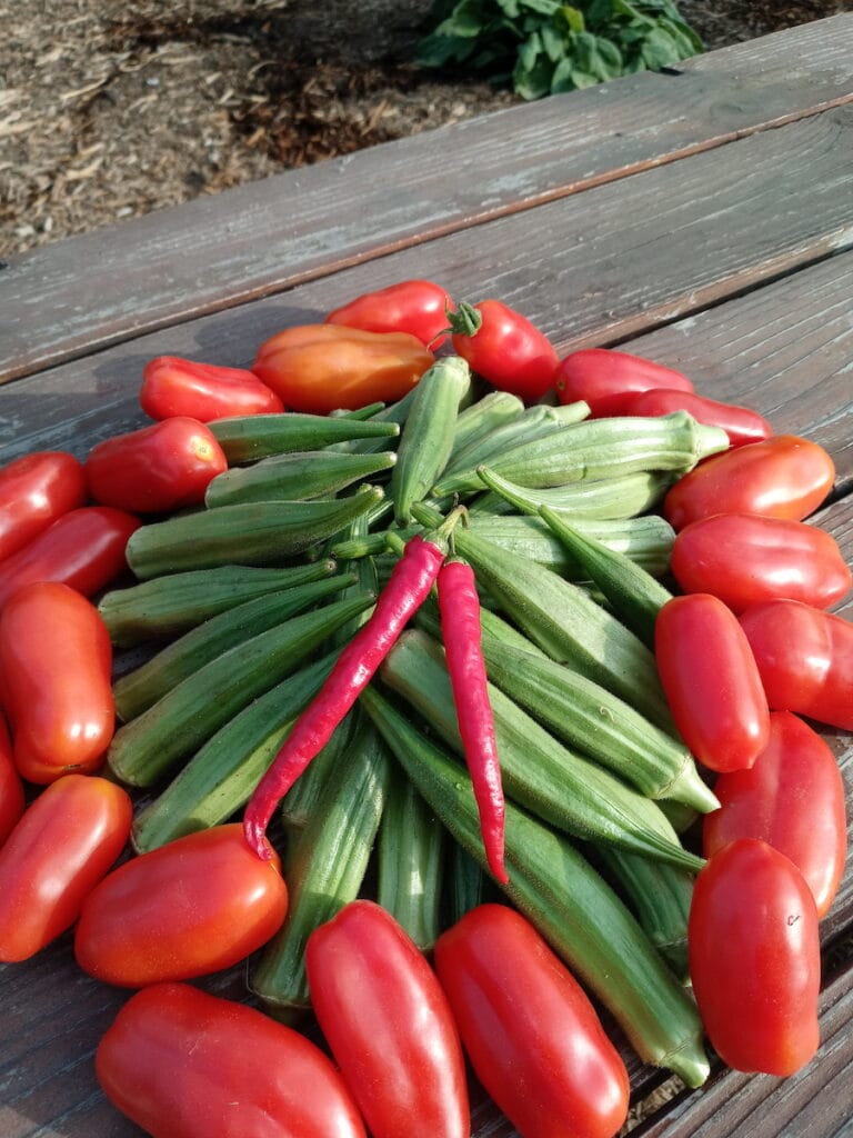 20210723 073351 768x1024