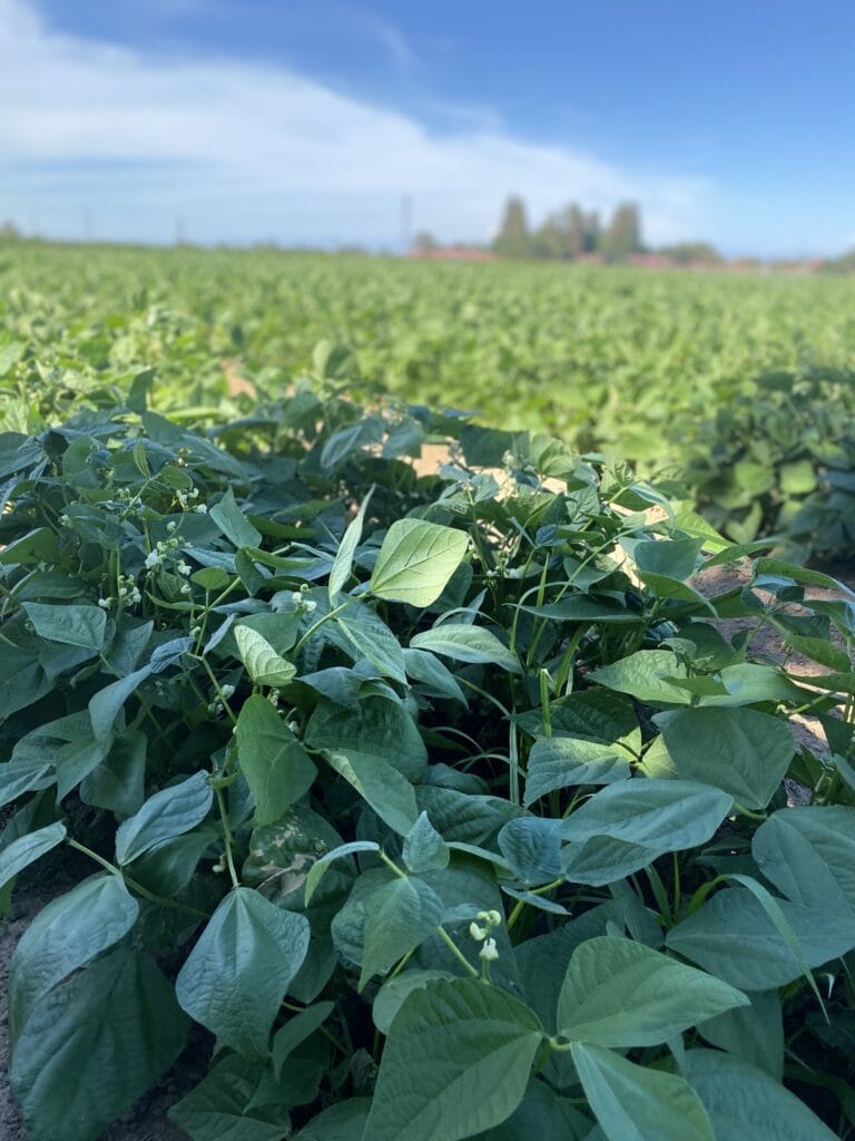 AF88ED85 B314 410C 80FA 71F7A4AADD95 768x1024