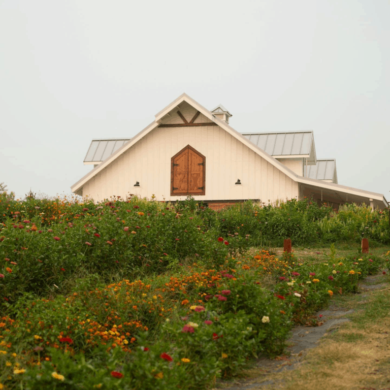 C0109EEA B5E3 414F A3E2 7932BC245F18 768x768