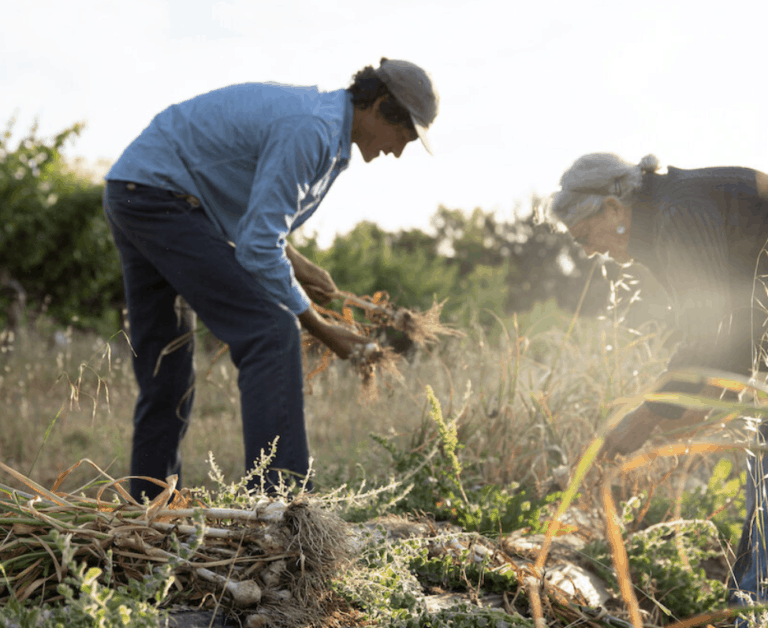 Screen Shot 2021 09 08 at 2.55.19 PM 768x628