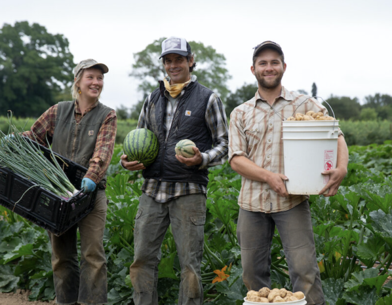 Screen Shot 2021 09 08 at 3.31.59 PM 768x599