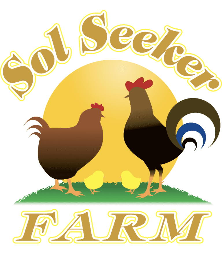 Sol Seeker Logo 1 768x915