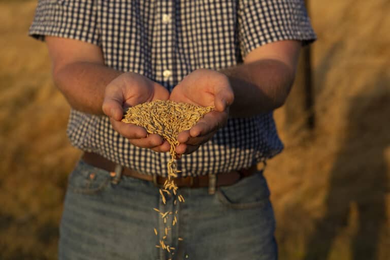 PI NGF 0789 Web 768x512