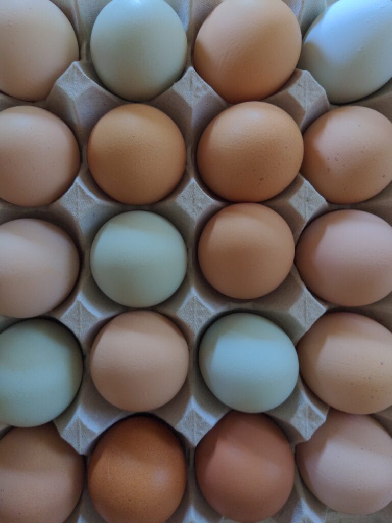 16479080516348133329498454558625 768x1024