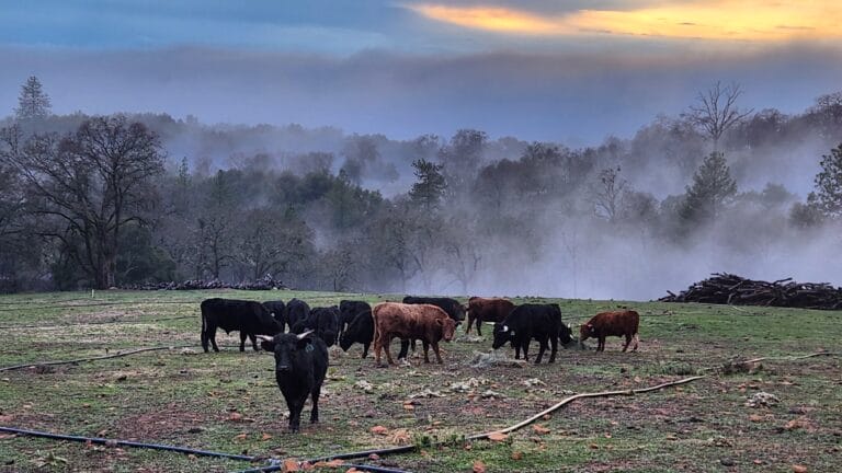 20230103 164824 768x432