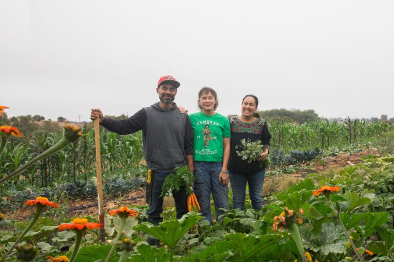 20200828 H35B0107 768x512