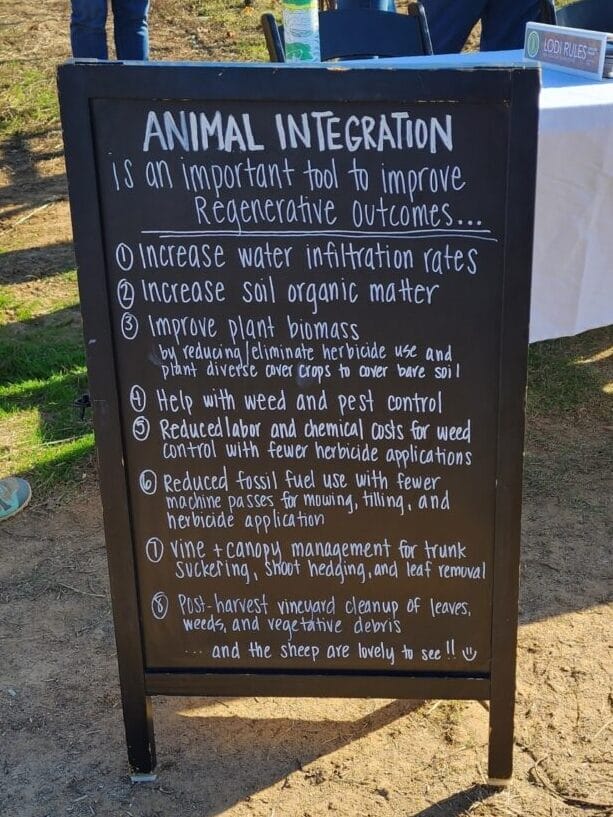 A chalkboard that reads: "Animal integration is an important tool to improve regenerative outcomes... 1. Increase water infiltration rates 2. increase soil organic matte 3. improve plant biomass by reducing/eliminate herbicide use and plant diverse cover crops to cover bare soil 4. help with weed and pest control 5. reduced labor and chemical costs for weed control with fewer herbicide applicants 6. reduced fossil fuel use with fewer machine passes for mowing, tilling, and herbicide application 7. vine and canopy management for trunk suckering, shoot hedging, and leaf removal 8. post-harvest vineyard cleanup of leaves, weeds, and vegetative debris... and the sheep are lovely to see!!"