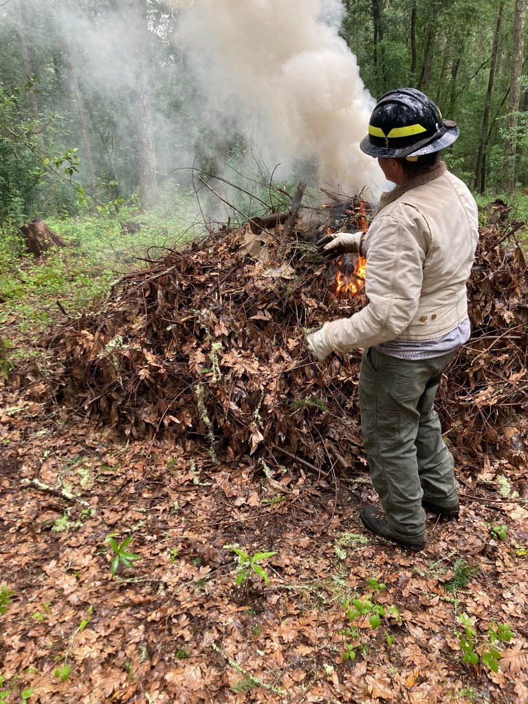 Pile burning workshop Laguna de Santa Rosa