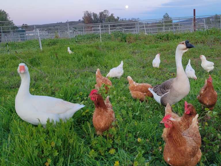 20240223 174225c 768x576