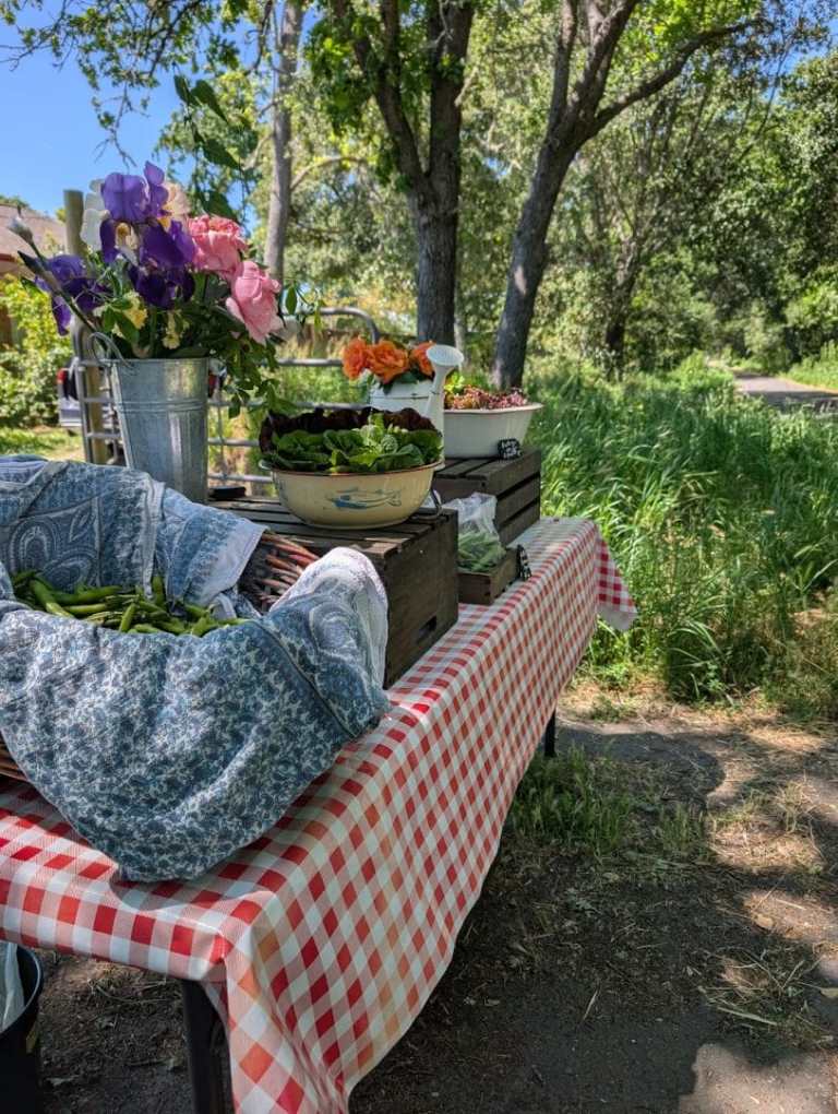 PXL 20250509 213540920.MP 768x1020