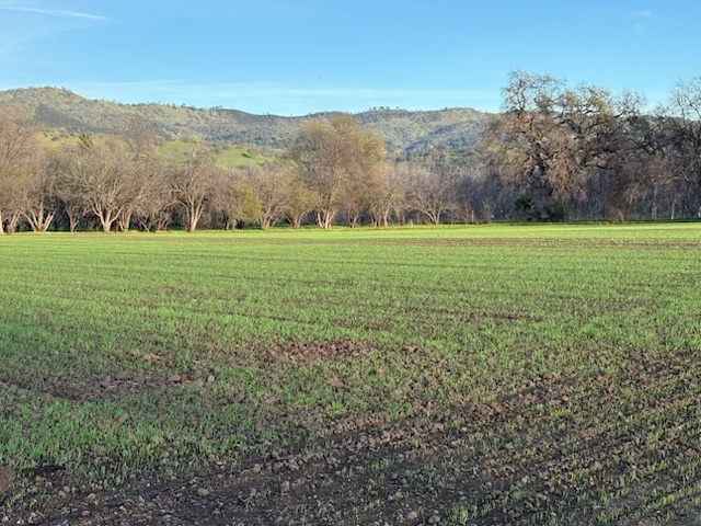 rd 50 field