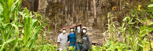 Brisa de Ano farm wildfires cropped