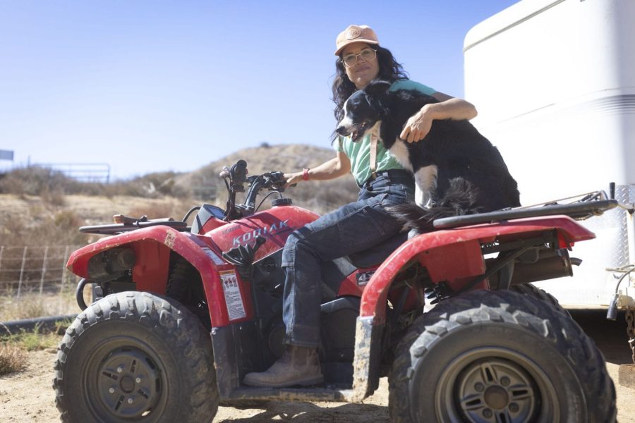 Cole Bush_Todd Selby