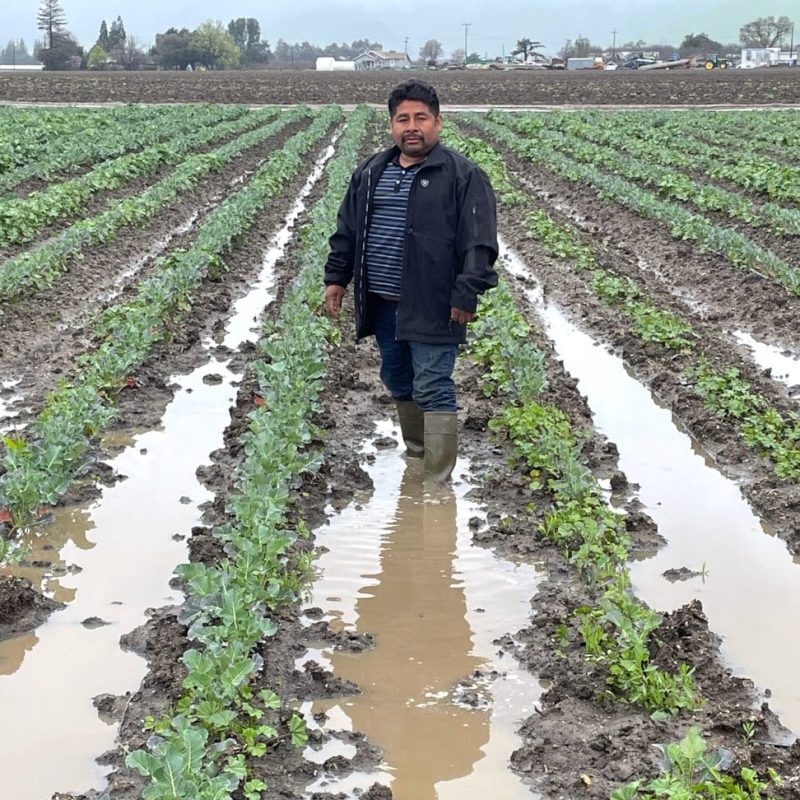 Emiliano Gómez Vásquez