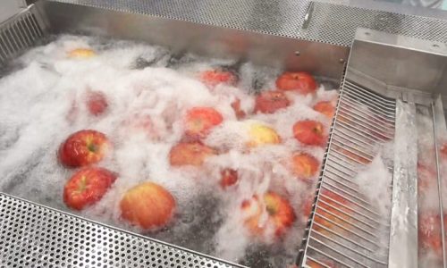 Food Safety