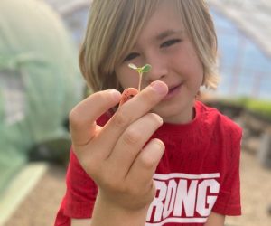 Jack and seedling 2021 (1)