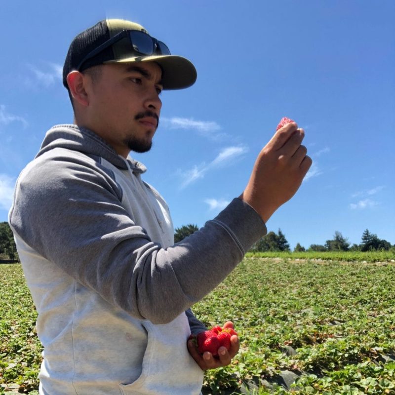 Jose Villanueva Vigil