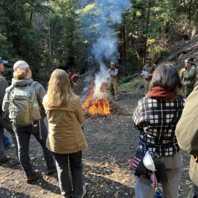 Pile burning observation